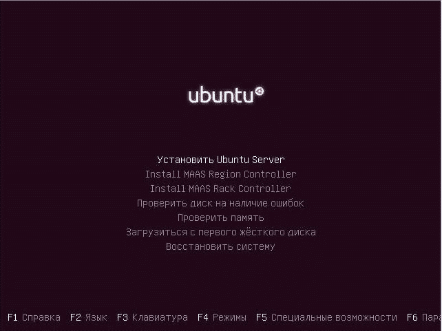 ustanovka-ubuntu-server-18-04-1-lts-na-programmnyj-raid1-s-hot-spare